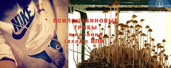 соль ск Волоколамск