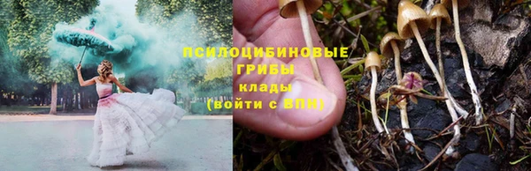крисы Верея