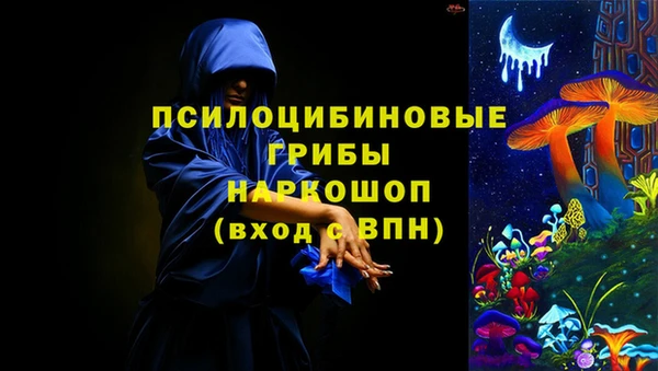 крисы Верея