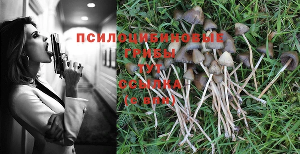 крисы Верея