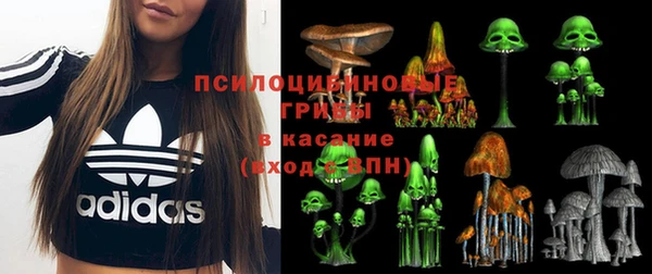 крисы Верхний Тагил