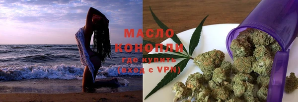 крисы Верхний Тагил