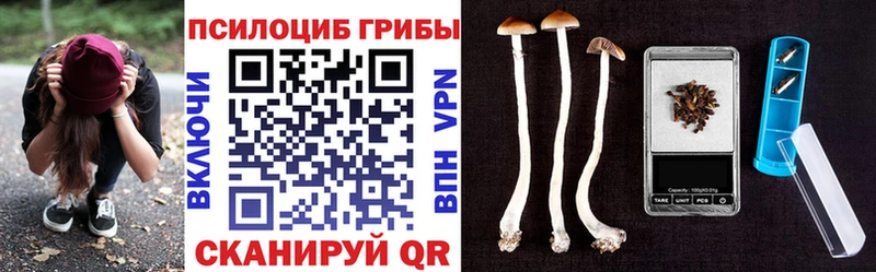 Псилоцибиновые грибы GOLDEN TEACHER  Воскресенск 